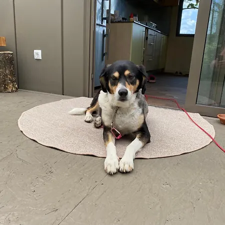 Magnolia House By The River Xl * Metlika