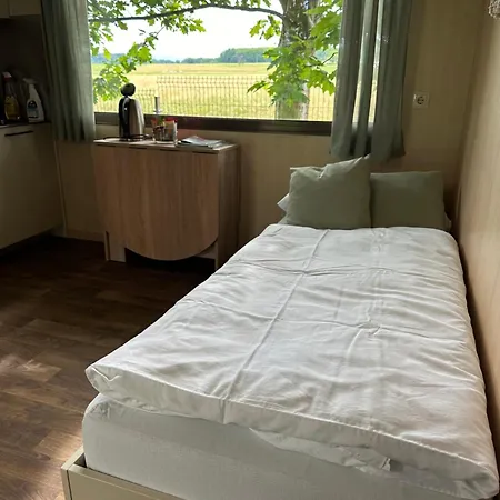 Semesterbostad Magnolia House By The River Xl