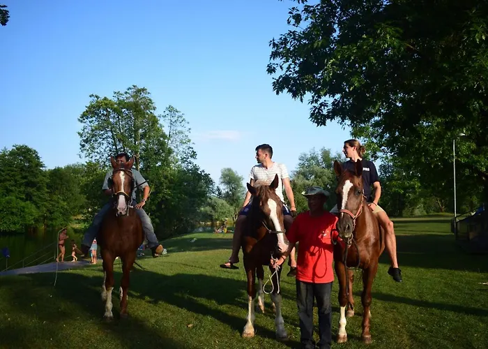 Magnolia House By The River Xl * Metlika