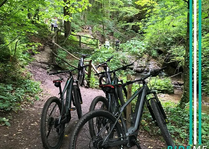 Magnolia House By The River Xl 度假居