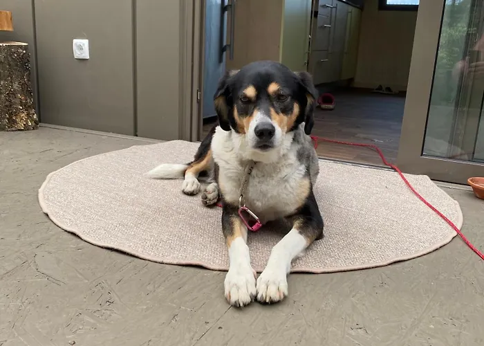 Magnolia House By The River Xl * Metlika